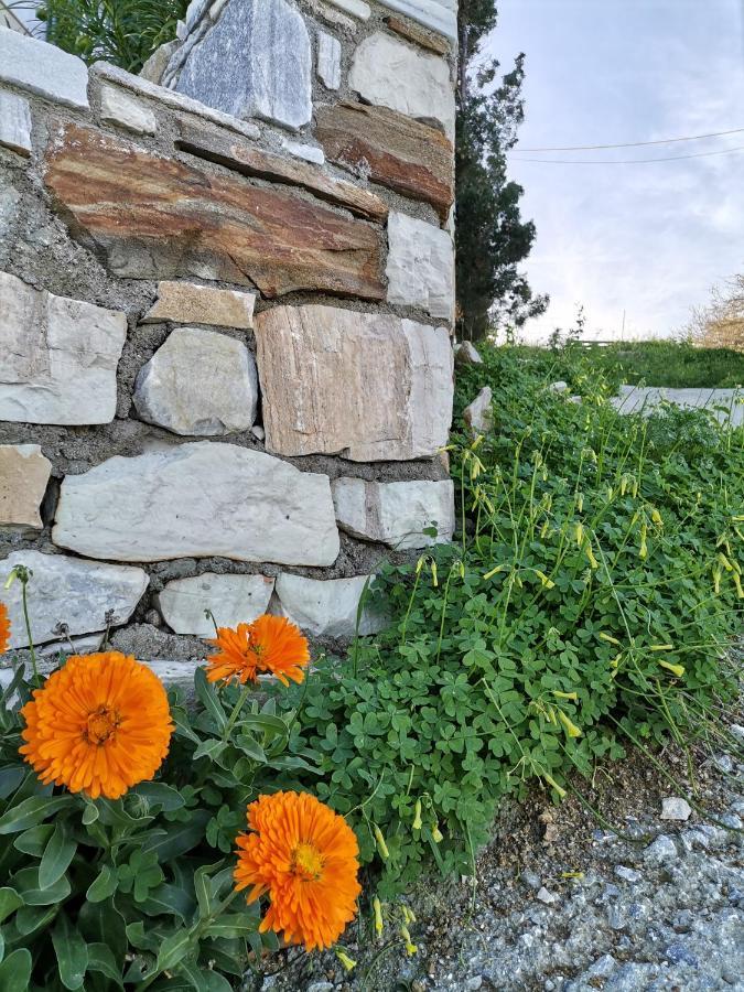 Apartament Chez Kiki Et Ioannis Engaraí Zewnętrze zdjęcie